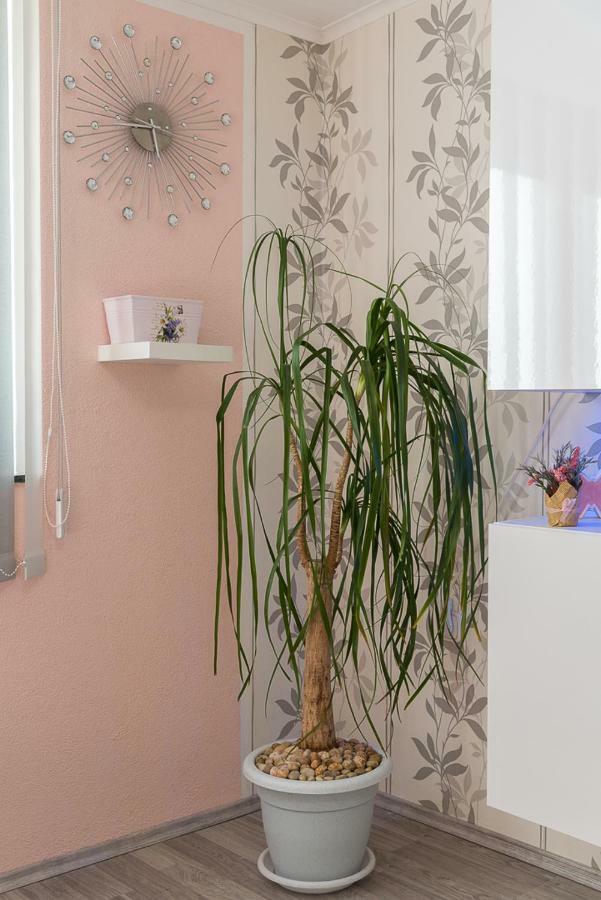 Apartment Danijela II Šibenik Exteriér fotografie